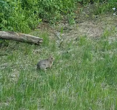 Hill Road Park - Flint, MI