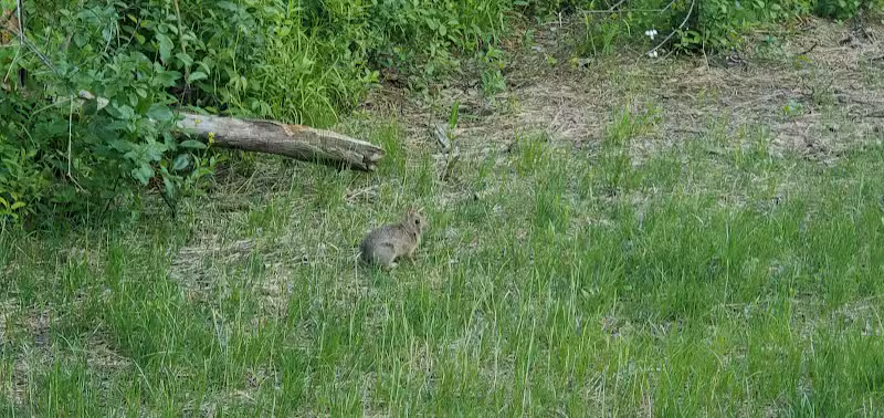 Hill Road Park - Flint, MI