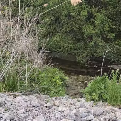 Hill Road Park - Flint, MI