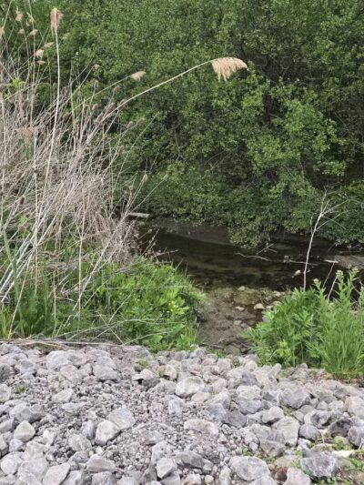 Hill Road Park - Flint, MI