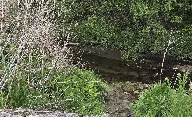 Hill Road Park - Flint, MI