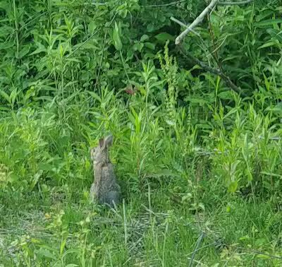 Hill Road Park - Flint, MI