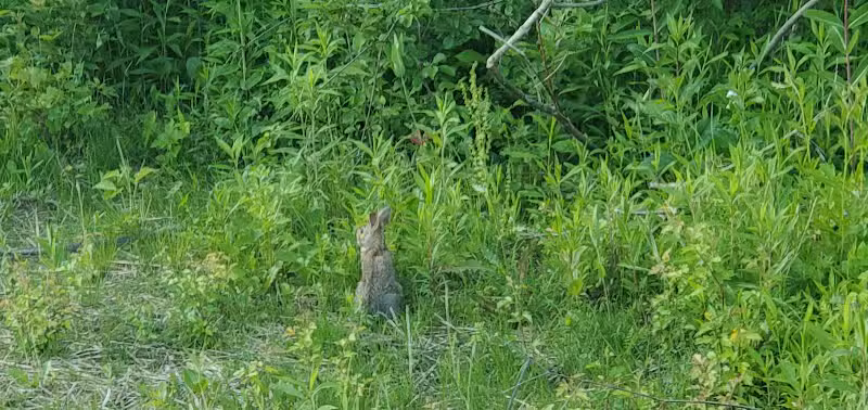 Hill Road Park - Flint, MI