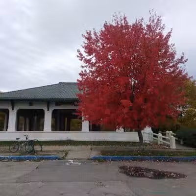 Kearsley Park - Flint, MI