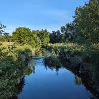 Kearsley Park - Flint, MI