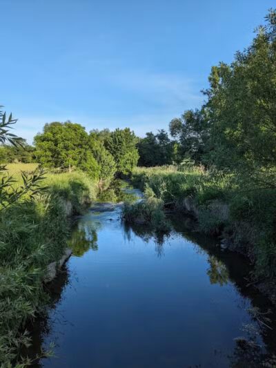 Kearsley Park - Flint, MI