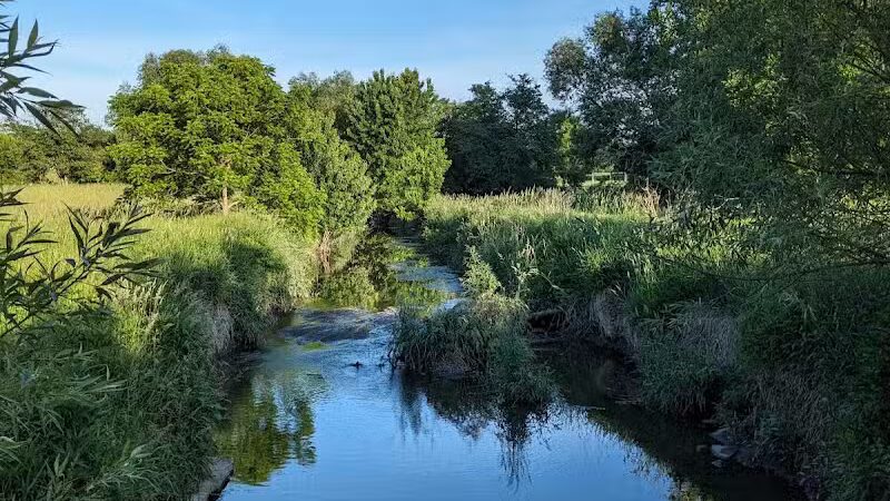 Kearsley Park - Flint, MI