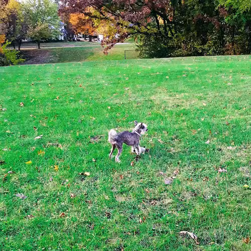 Mott Park - Flint, MI