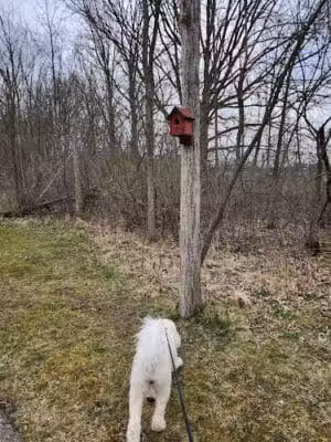 Mundy Miracle Commons Trail - Flint, MI