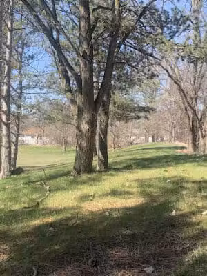 Rollingwood Park - Flint,