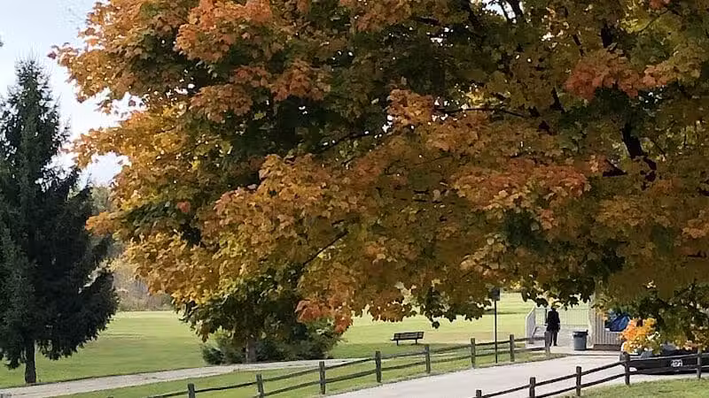 Mott Park - Flint, MI