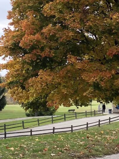 Mott Park - Flint, MI