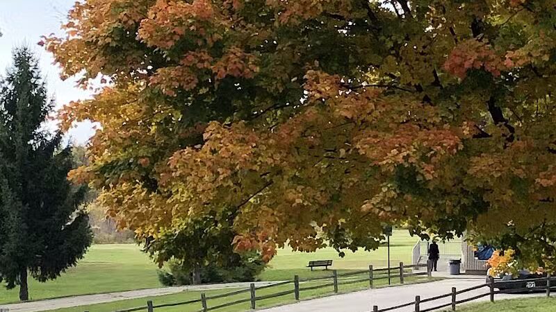 Mott Park - Flint, MI