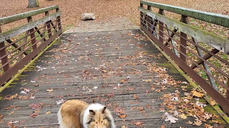 Mott Park - Flint, MI