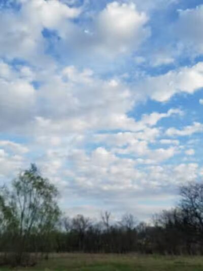 Mott Park Recreation Area - Flint, MI