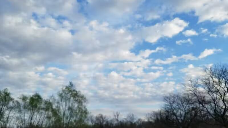 Mott Park Recreation Area - Flint, MI