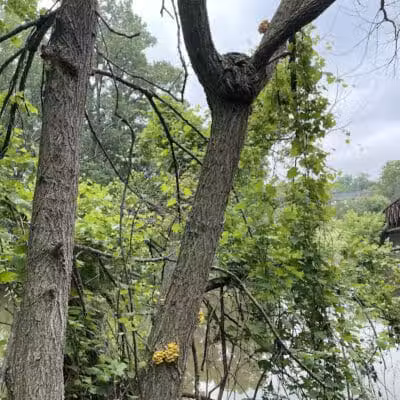 Mott Park Recreation Area - Flint, MI