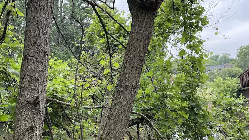 Mott Park Recreation Area - Flint, MI