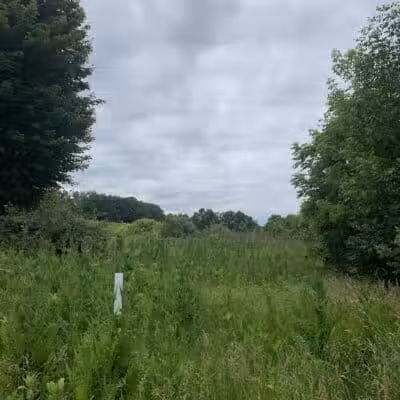 Mott Park Recreation Area - Flint, MI