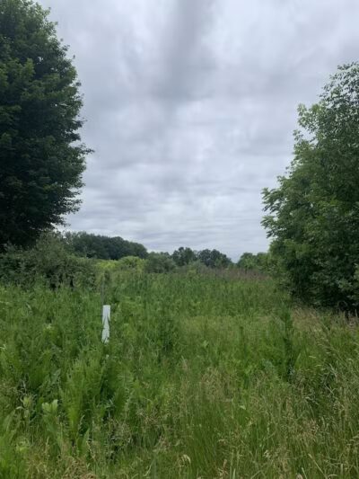 Mott Park Recreation Area - Flint, MI