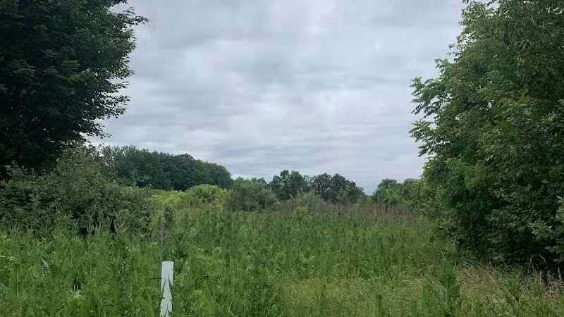Mott Park Recreation Area - Flint, MI