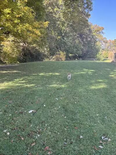 Mott Park - Flint, MI