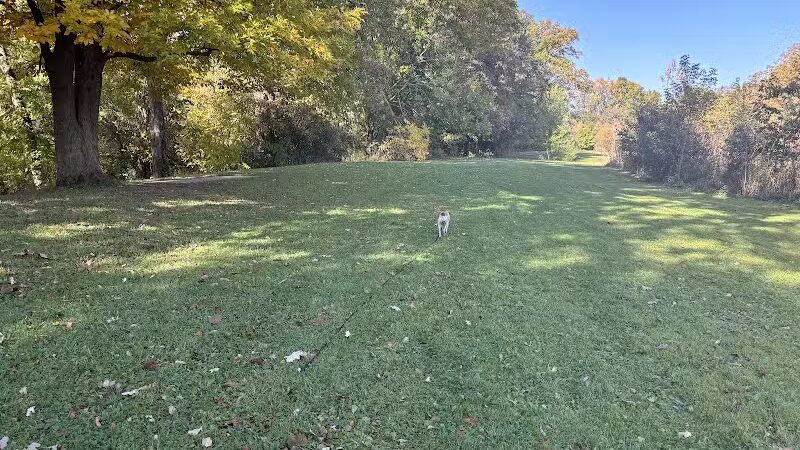 Mott Park - Flint, MI