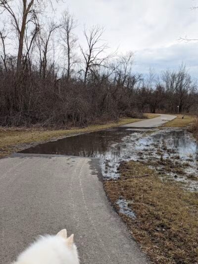 Mundy Miracle Commons Trail - Flint, MI