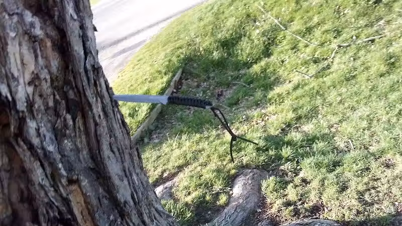 Sarginson Park - Flint, MI