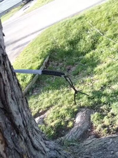 Sarginson Park - Flint, MI