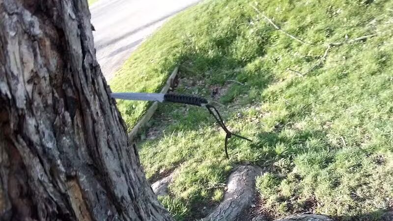 Sarginson Park - Flint, MI