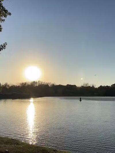Stepping Stone Falls - Flint,