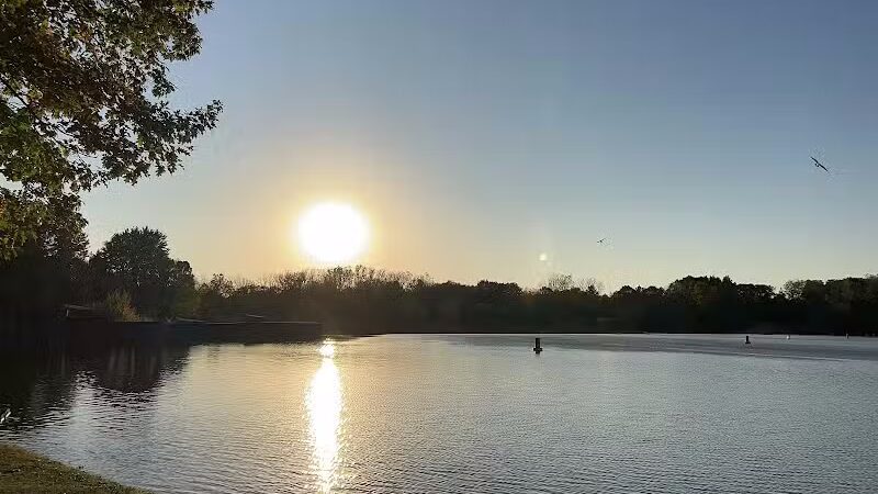 Stepping Stone Falls - Flint,