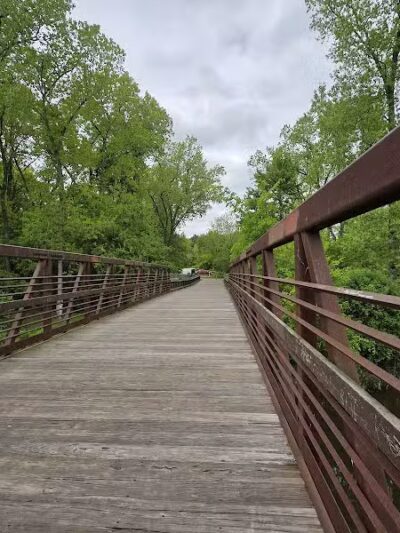 Stepping Stone Falls - Flint,