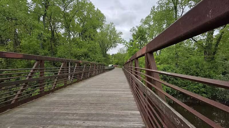 Stepping Stone Falls - Flint,