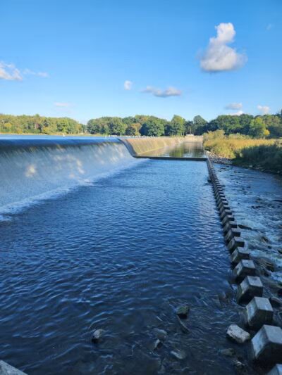 Stepping Stone Falls - Flint,