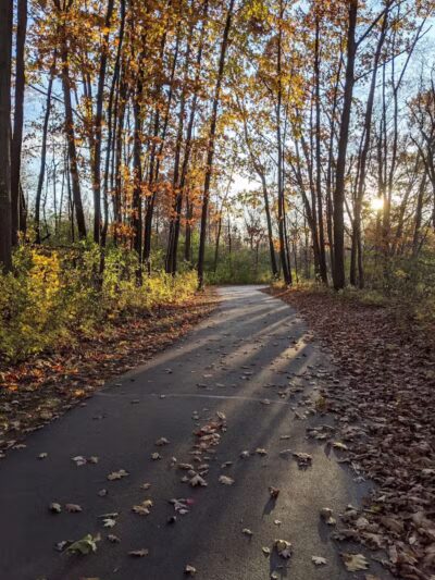 Stepping Stone Falls - Flint,