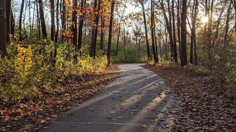 Stepping Stone Falls - Flint,