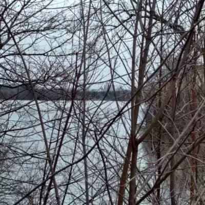 Thread Lake Park - Flint, MI