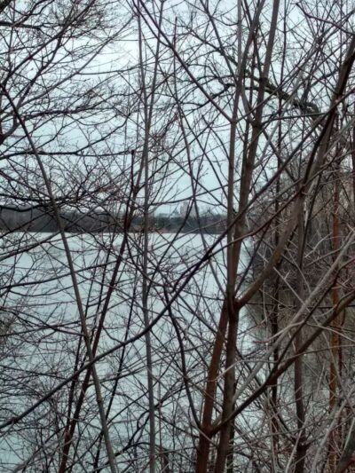 Thread Lake Park - Flint, MI