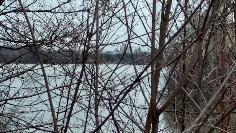 Thread Lake Park - Flint, MI