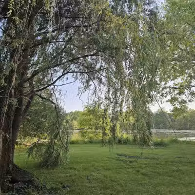 Thread Lake Park - Flint, MI