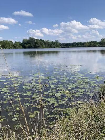 Thread Lake Park - Flint, MI