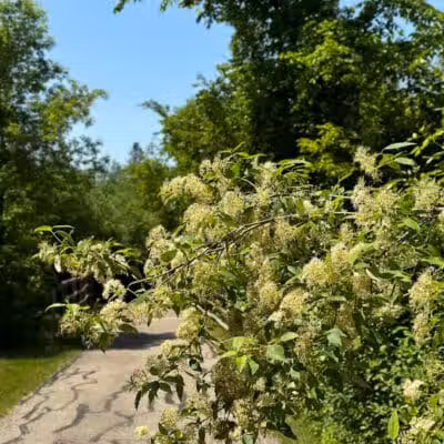 Flint Township Trail - Flint Township, MI