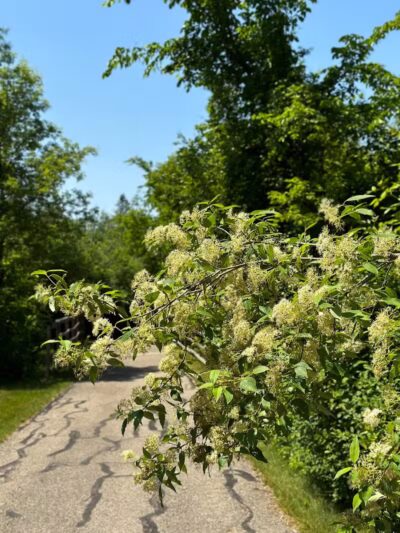 Flint Township Trail - Flint Township, MI