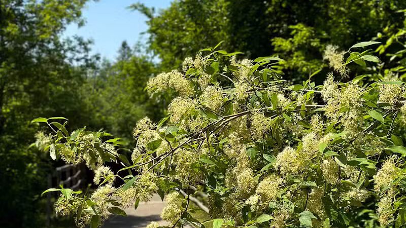 Flint Township Trail - Flint Township, MI