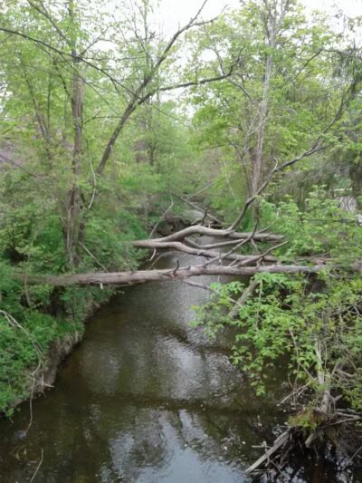 Woodlawn Park - Flint, MI