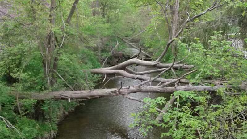 Woodlawn Park - Flint, MI