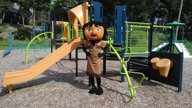 Woodlawn Park - Flint, MI