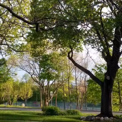 Woodlawn Park - Flint, MI